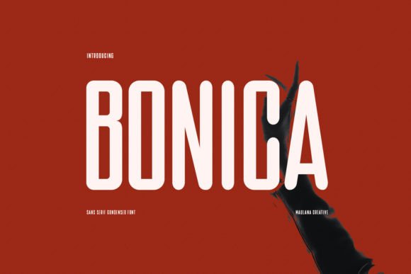 Bonica: A Modern Font for Business