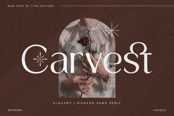 Carvest: A Modern Sans Serif Font