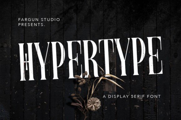 Hypertype: A Stylish Serif Font