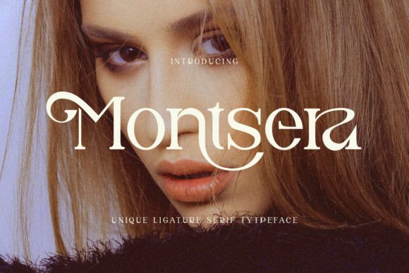 Upgrade Your Brand with Montsera